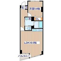 プレミュール 502