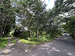 刈田郡蔵王町遠刈田温泉字小妻坂　土地