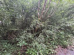 刈田郡蔵王町遠刈田温泉字新地東裏山　土地