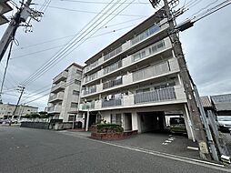 チュリス神明 517