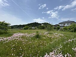 美作市真加部　土地