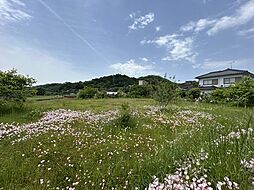 美作市真加部　土地