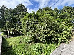 杵築市大字日野　土地