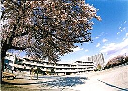 コータースそれいゆ
