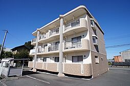 ミルフォード 203