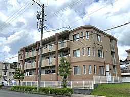 アイヴィ 302