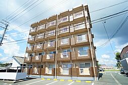 シャロームアイ 402