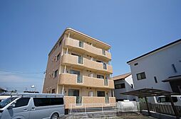 スプリングウインド 302