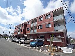 BRIX　COURT 203