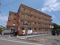 Peace（ピース） 203