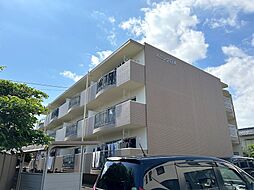 ハミング白木 205