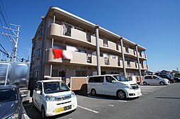 アンシャンテ 203