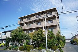 バンブーリーヴスIII 402