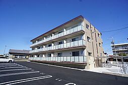 フォンターナ 202