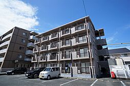 バンブーリーヴスI 203