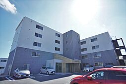 レナトゥス松城 502