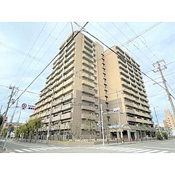 サニーコットン住之江