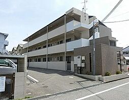 アミール西野