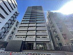 Cherry Blossom 五条通