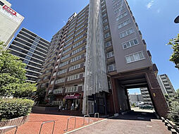 メロデイハイム大日　10階 1005