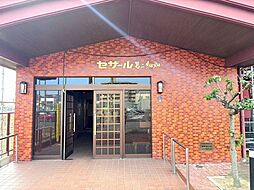 セザール第二細畑