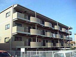 ピソ・キタノ 105