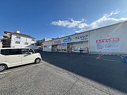 センチュリー仲政 305