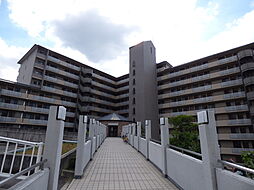 ローレルコート千代田 906