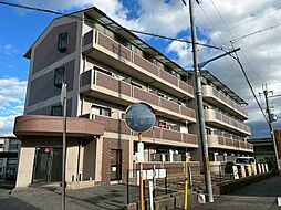 エレガンシア金剛 401