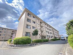 金剛第二住宅145棟 405