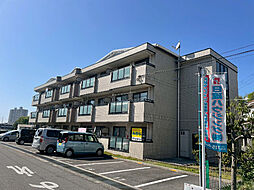 ウィスタリア・藤 301