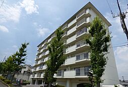 石坂スカイハイツ 603