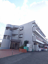 ドミール仲谷1号館 305