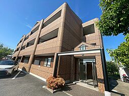 カステル　ヴェッチオ 305