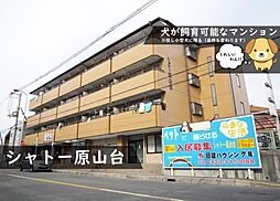 シャトー原山台 405