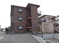 Selley’s金剛 304