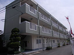 マリッチ小谷 303