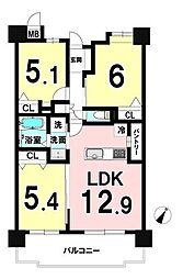 グリーンミユキ朝日