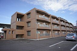 正気屋ハイツS 305