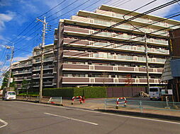 シーズガーデン武蔵藤沢 805