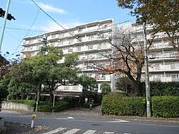 椿峰ニュータウン最上階 810号室