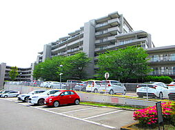 エステ・スクエア 武蔵藤沢