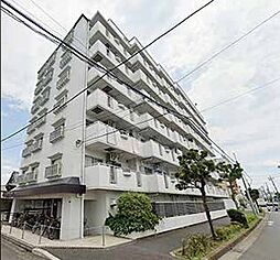 グリーンパーク花畑 506