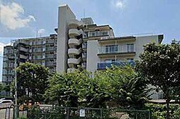 ライネハイム松戸五香 806