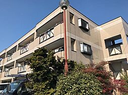 サザンフィールド