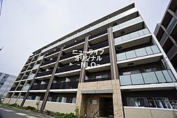 Plumeria 301