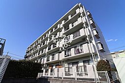 ハイドランジア 501