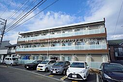 リブリ・ポピー 101