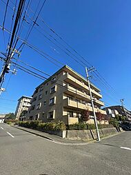 グレース代官IV 203