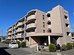 アンソレイエ　アオキ 102